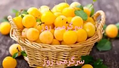 این میوه تابستانی از پوکی استخوان جلوگیری می‌کند