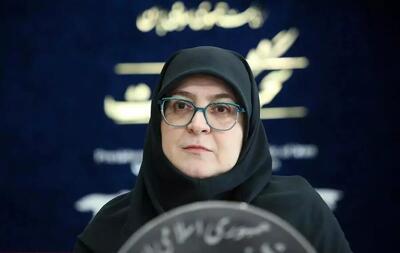 اظهارات مهم سخنگوی دولت از جزئیات مذاکرات تا انتخاب وزیر اقتصاد