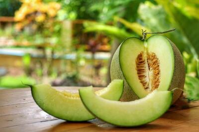 آیا «ملون» تراریخته و مضر برای سلامتی است؟