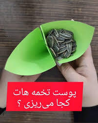 دیگه پوست تخمه هاتو تو ماشین نریز!