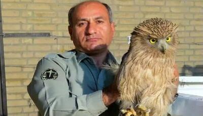 دستور دادستان مرکز استان کهگیلویه و بویراحمد برای شناسایی عاملان قتل «هدایت الله دیده‌بان» محیط‌بان در کوه خاییز