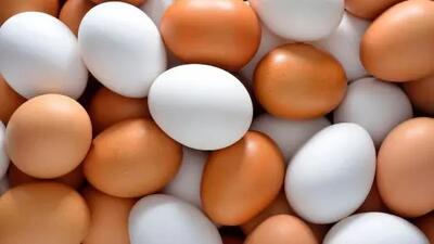 افزایش ناگهانی قیمت تخم مرغ در خرداد 1404/ علت چیست؟