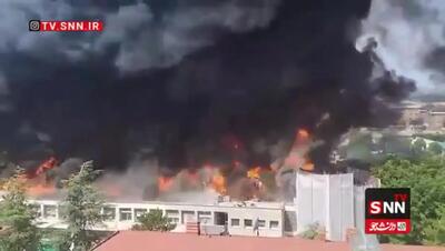 دانشگاهی در ایتالیا طعمه شعله‌ها شد