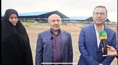 منطقه آزاد ماکو، فرصت طلایی سرمایه‌گذاری در زنجیره دام و طیور