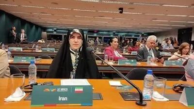 کارگروه ویژه برای حمایت از نقش زنان در مقابله با بحران‌های اقلیمی تشکیل شود