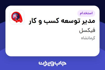 استخدام مدیر توسعه کسب و کار در فیکسل