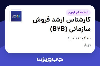 استخدام کارشناس ارشد فروش سازمانی (B2B) در سایت شب