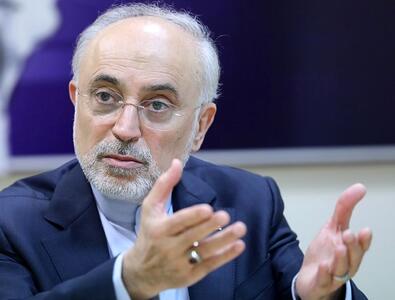صالحی: ایران در زمینه هسته‌ای هیچ اقدامی خلاف تعهدات پادمانی انجام نداده است