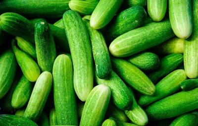 طرز تهیه دسر خیار، متفاوت و خاص+ فیلم