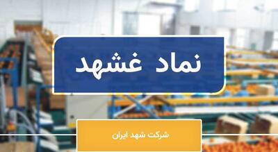 غشهد در اردیبهشت درخشید؛ جهش درآمد ماهانه به ۲۷ میلیارد تومان - سرمایه و بورس