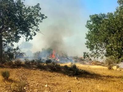 جنگلهای کوهمره فارس دچار آتش‌سوزی گسترده شد