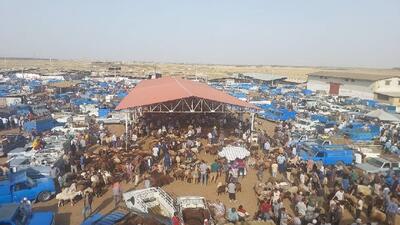رونق خرید و فروش قربانی  در دومین میدان بزرگ دام کشور