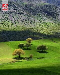 طبیعت زاگرس زیبا