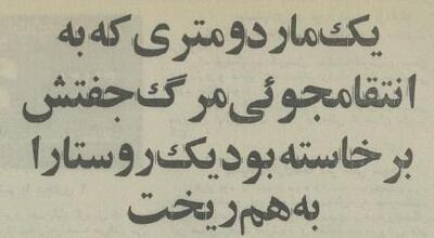 یک مار ۲ متری برای انتقام به روستایی در خراسان حمله کرد!