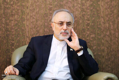 نظر صالحی درباره پیشنهاد آمریکا به ایران