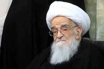 توصیه مرحوم آیت الله صافی گلپایگانی در روز عرفه