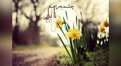 فال و طالع بینی روزانه 15 خرداد