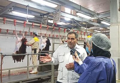 37 کشتارگاه فارس آماده نظارت بر ذبح دام در عید قربان - تسنیم