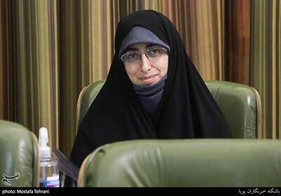 واکنش عضو شورای شهر تهران به برخورد نامناسب با یک شهروند - تسنیم