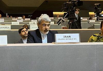 تأکید سفیر ایران بر لزوم بی‌طرفی اقدامات جهانی کاهش بلایا - تسنیم