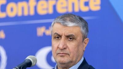 ایران به بلوغ کامل در چرخه سوخت هسته‌ای دست یافته است
