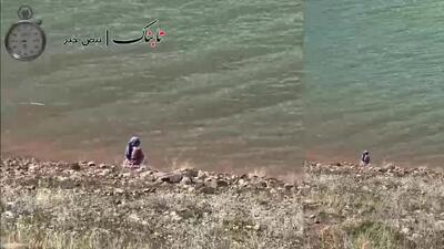 ویدیوی تلخ از الهه حسین نژاد