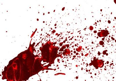 ۲ برادر به‌خاطر ارث برادر خود را در سنندج کشتند