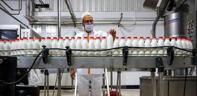 موج تورمی سنگین در بازار لبنیات