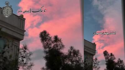 ویدئویی که الهه حسین‌نژاد قبل قتل منتشر کرد 1.4 میلیون بازدید گرفت+ فیلم
