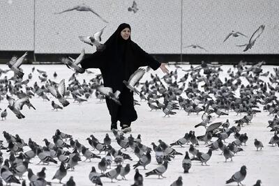 تصاویری از مناسک حج