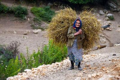 زنان توانمند؛ قلب تپنده کشاورزی ایران
