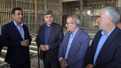 بزرگترین پروژه فرهنگی و هنری کشور معطل اعتبار است