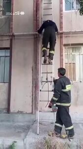 نجات پرستوی گرفتار از دل دیوار توسط آتش‌نشانان کرمانشاهی