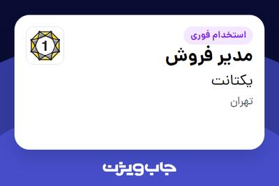 استخدام مدیر فروش در یکتانت