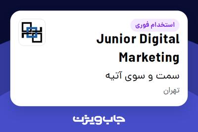 استخدام Junior Digital Marketing در سمت و سوی آتیه