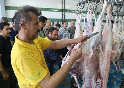۷ توصیه دامپزشکی برای رعایت اصول بهداشتی قربانی