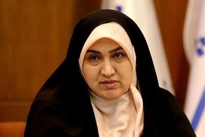 عضو فراکسیون زنان مجلس: ساماندهی خودرو‌های مسافربر شخصی باید در اولویت قرار گیرد