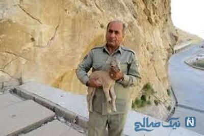 شهادت قهرمان محیط‌بان کشور در درگیری با شکارچیان غیرمجاز در منطقه حفاظت شده خاییز / فداکاری که قلب‌ها را جریحه‌دار کرد!