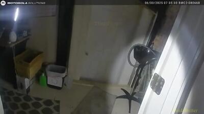 فیلم ورود گوزن وحشی به آرایشگاه زنانه