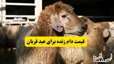قیمت دولتی دام زنده اعلام شد | قیمت دام زنده امروز حمعه ۱۶ خرداد ۱۴۰۴ | قیمت دام زنده روز عید قربان چند؟