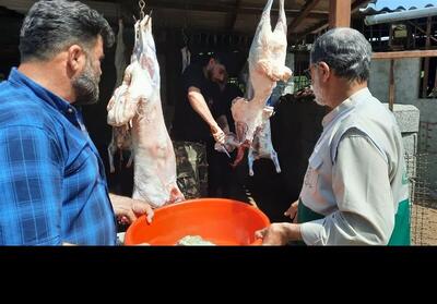 توزیع ۱۵ تُن گوشت قربانی بین نیازمندان ایلامی