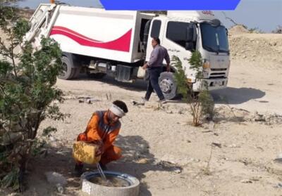 ساخت آبشخور برای حیات وحش در شهرستان دیر - تسنیم