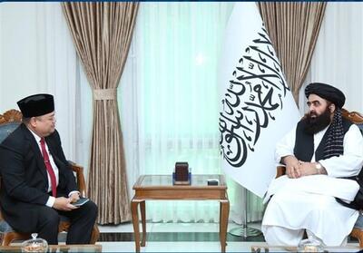 کاردار اندونزی: واقعیت‌های افغانستان را بازتاب می‌دهم - تسنیم