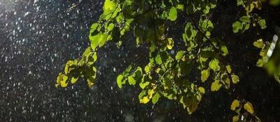 هواشناسی ۱۴۰۴/۰۳/۱۷/ رگبار باران، رعد و برق و وزش باد شدید در ۲۲ استان