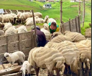 روستای ییلاقی زیبای سوئتون تالش