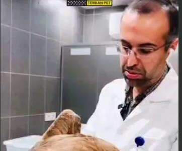 ببینید خرافات با مردمان نادان چه کرده است؟