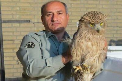 بازنگری در جایگاه و حمایت از محیط‌بانان کشور؛ امر لازم