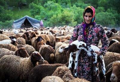زنان عشایری سنگ‌صبور خانواده و سرمایه معنوی جامعه عشایر هستند