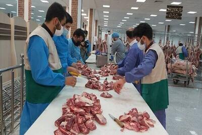 حدود ۸۵ هزار قربانی حج به دست ۷۴ ذابح باتجربه ایرانی انجام شد