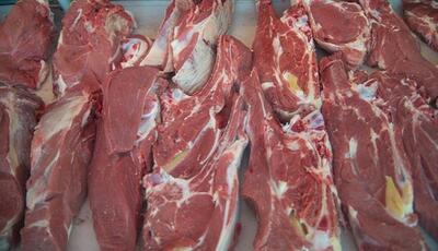 شایعه حذف ارز ترجیحی گوشت قرمز تکذیب شد؛ قیمت‌ها فعلاً تغییر نمی‌کند؟